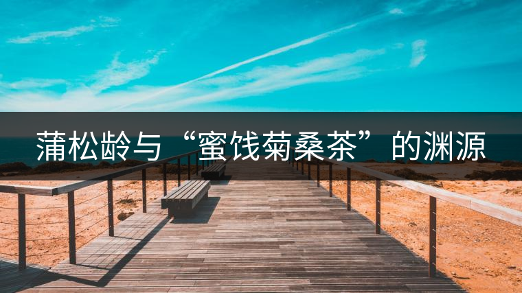 蒲松齡與“蜜餞菊桑茶”的淵源