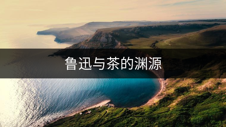 魯迅與茶的淵源 魯迅與茶的淵源