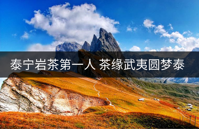 泰寧巖茶第一人 茶緣武夷圓夢(mèng)泰寧