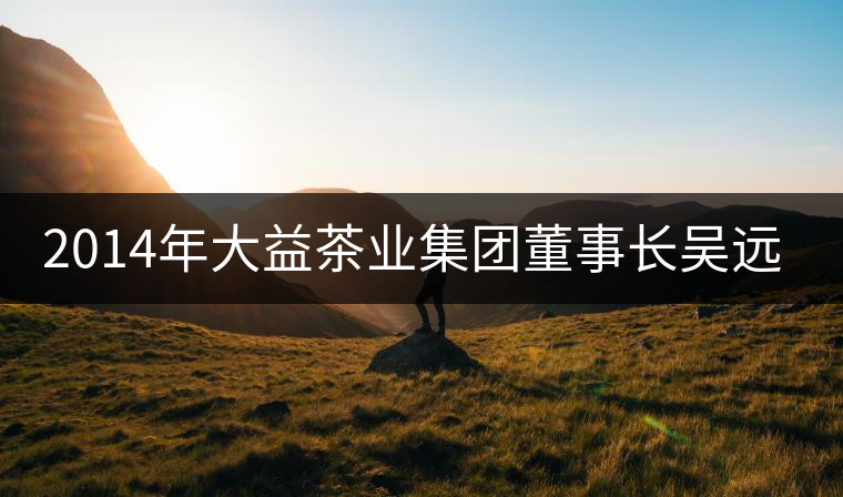 2014年大益茶業(yè)集團董事長吳遠(yuǎn)之訪談 2014年大益茶業(yè)集團董事長吳遠(yuǎn)之訪談
