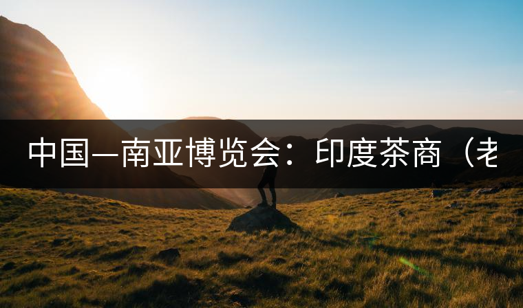 中國—南亞博覽會(huì)：印度茶商（老羅）暢談茶葉生意經(jīng)(圖)