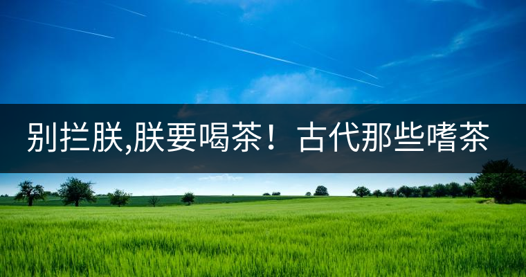 別攔朕,朕要喝茶！古代那些嗜茶如命的皇帝