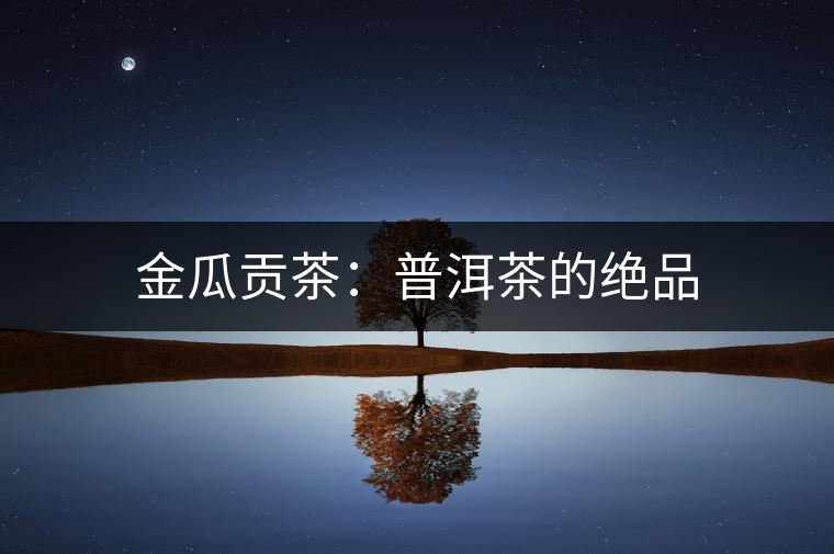 金瓜貢茶:普洱茶的絕品 金瓜貢茶:普洱茶的絕品