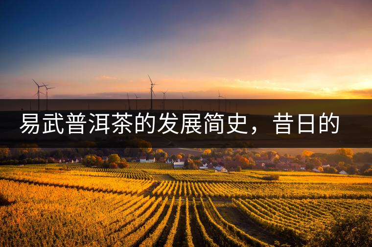 易武普洱茶的發(fā)展簡史，昔日的貢茶如今依然輝煌