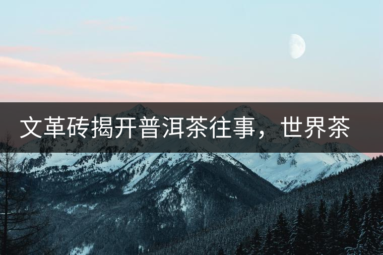文革磚揭開普洱茶往事，世界茶文化交流協(xié)會成員共品經(jīng)典文革磚！