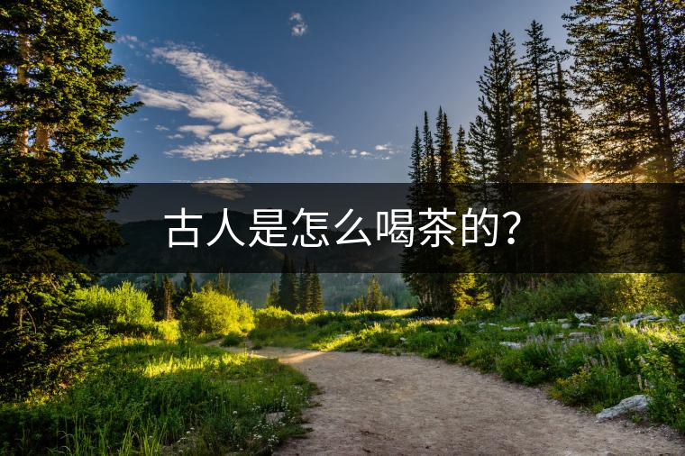 古人是怎么喝茶的？