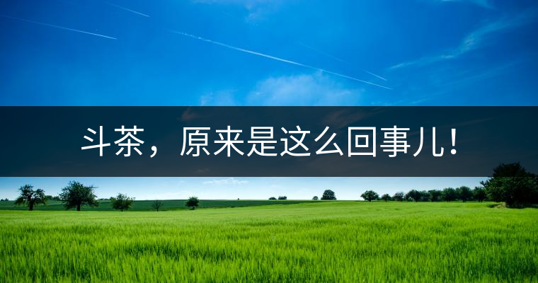 斗茶，原來是這么回事兒！