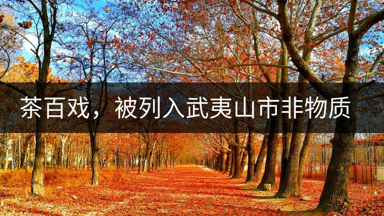 茶百戲，被列入武夷山市非物質(zhì)文化遺產(chǎn)的茶湯