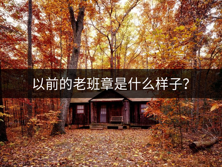 以前的老班章是什么樣子？