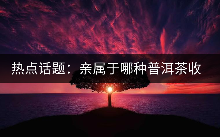 熱點(diǎn)話題：親屬于哪種普洱茶收藏者？