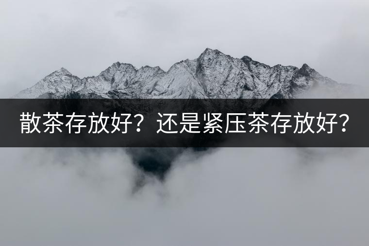 散茶存放好？還是緊壓茶存放好？