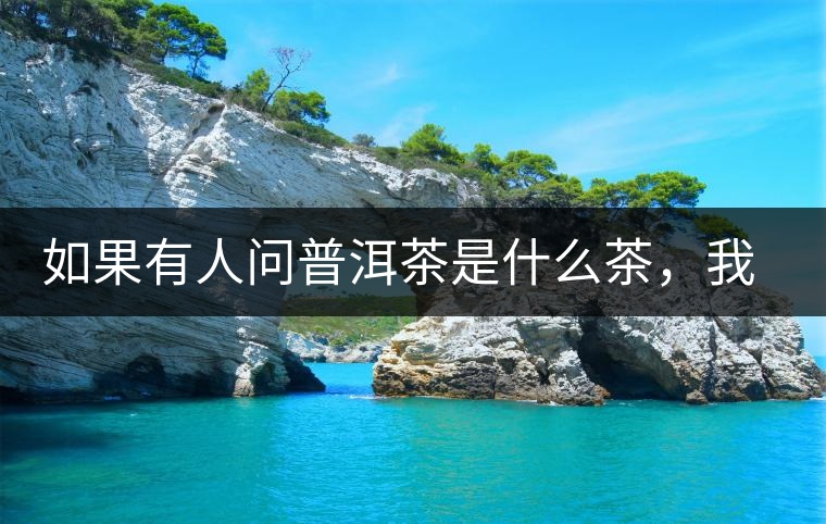 如果有人問(wèn)普洱茶是什么茶，我就請(qǐng)他看這個(gè)段子