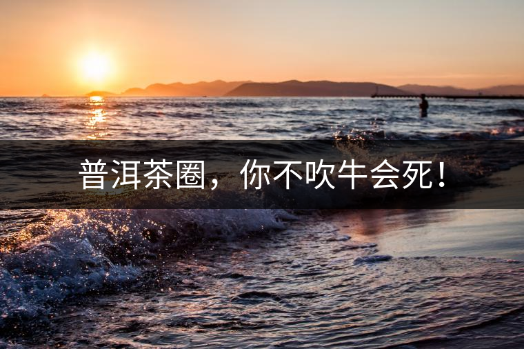 普洱茶圈，你不吹牛會死！