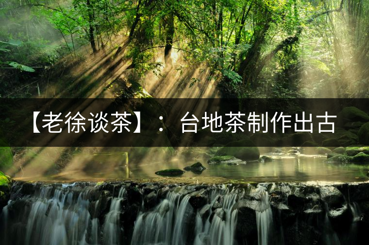 【老徐談茶】：臺(tái)地茶制作出古樹(shù)茶口感？只需一招，輕松騙過(guò)你 ?