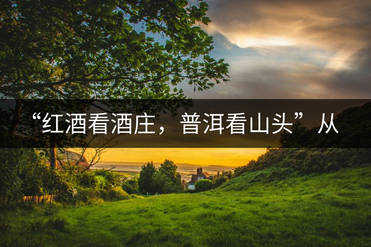 “紅酒看酒莊，普洱看山頭”從這里秒懂普洱茶的未來