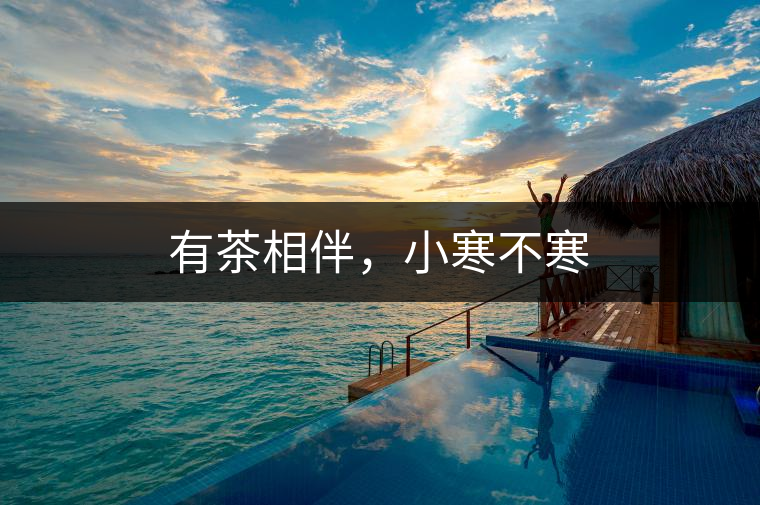 有茶相伴，小寒不寒