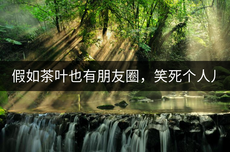 假如茶葉也有朋友圈，笑死個(gè)人兒...