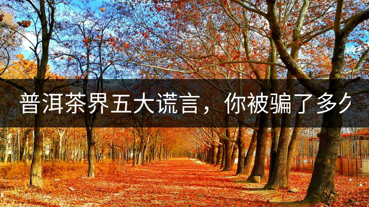 普洱茶界五大謊言，你被騙了多久？