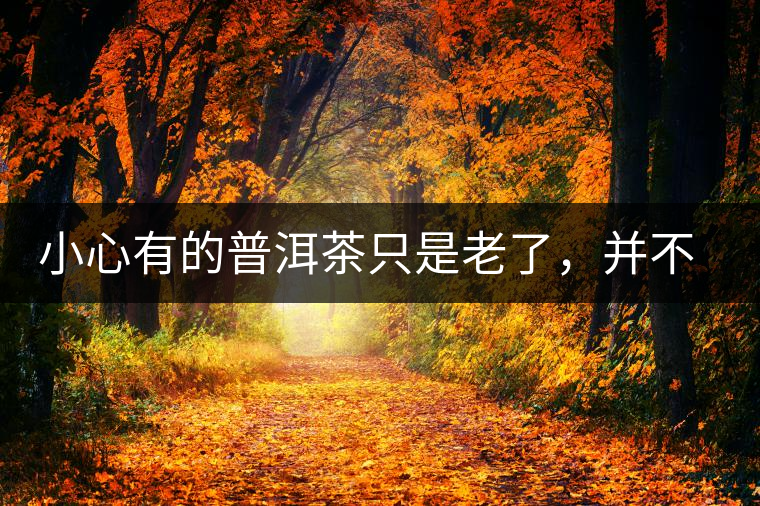 小心有的普洱茶只是老了，并不是好了