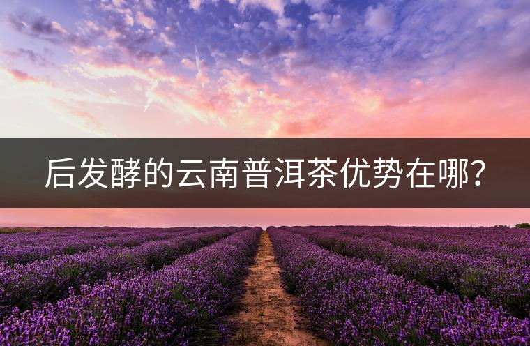 后發(fā)酵的云南普洱茶優(yōu)勢(shì)在哪？