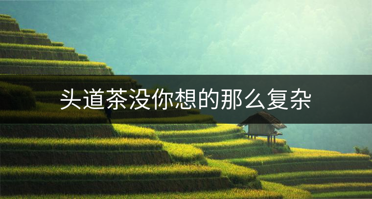 頭道茶沒你想的那么復雜