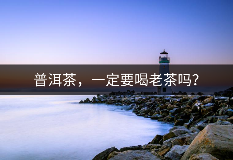 普洱茶，一定要喝老茶嗎？