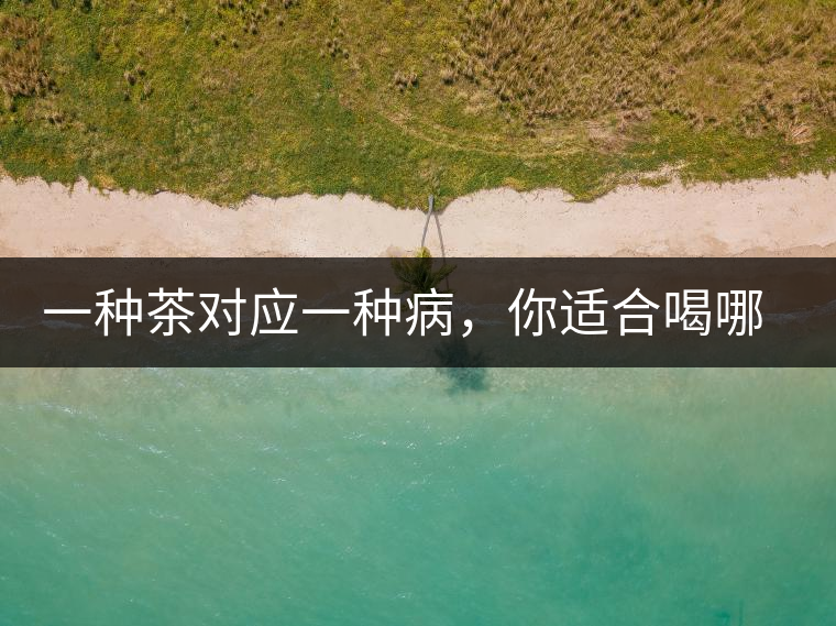 一種茶對應一種病，你適合喝哪一種呢？