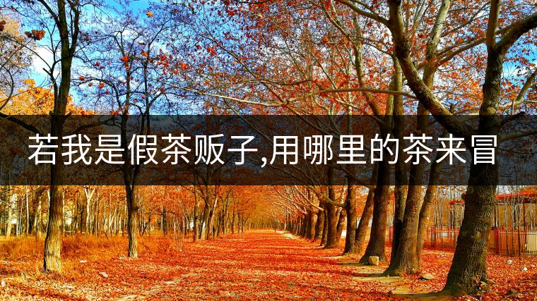 若我是假茶販子,用哪里的茶來冒充老班章/冰島/昔歸,才能讓你喝不透真假? 若我是假茶販子,用哪里的茶來冒充老班章/冰島/昔歸,才能讓你喝不透真假?