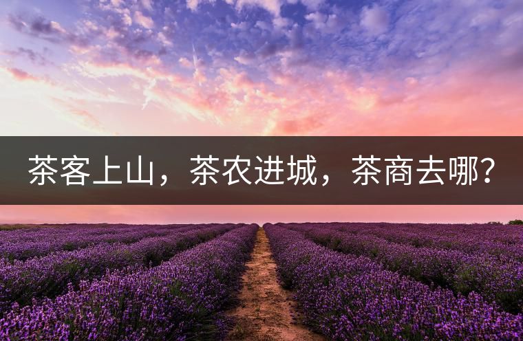 茶客上山，茶農(nóng)進(jìn)城，茶商去哪？
