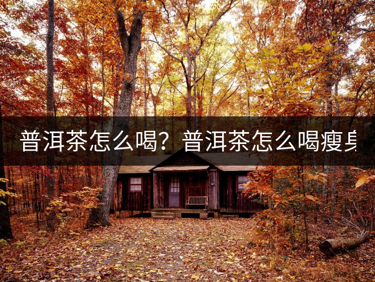 普洱茶怎么喝？普洱茶怎么喝瘦身？