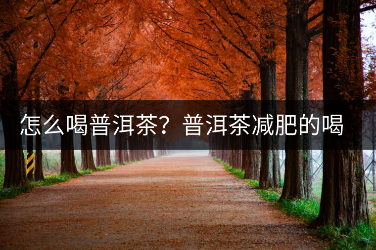 怎么喝普洱茶？普洱茶減肥的喝法