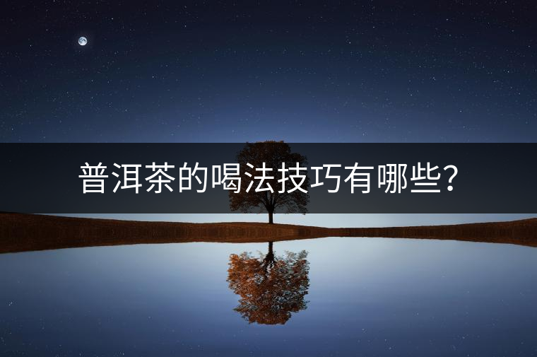 普洱茶的喝法技巧有哪些？