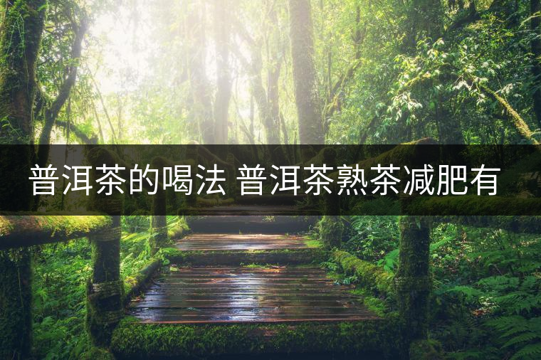 普洱茶的喝法 普洱茶熟茶減肥有什么效果嗎？