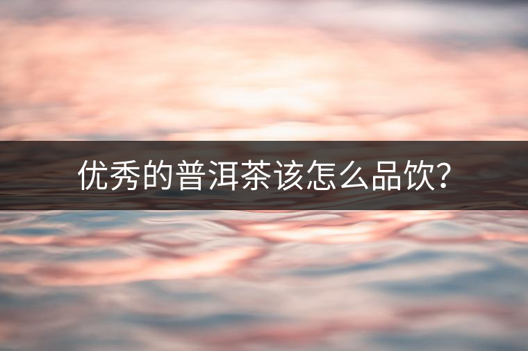 優(yōu)秀的普洱茶該怎么品飲？