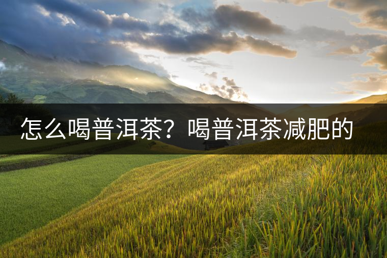 怎么喝普洱茶？喝普洱茶減肥的注意事項(xiàng)