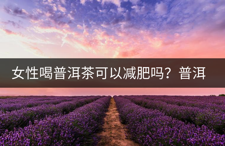 女性喝普洱茶可以減肥嗎？普洱茶的功效又有哪些呢？