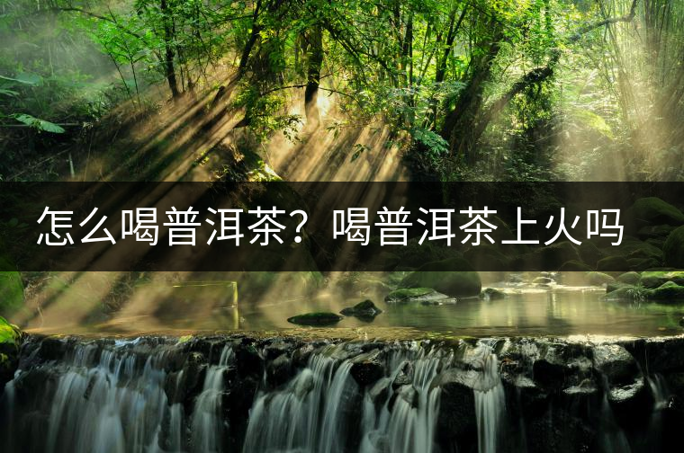 怎么喝普洱茶？喝普洱茶上火嗎？喝普洱茶會不會上火？