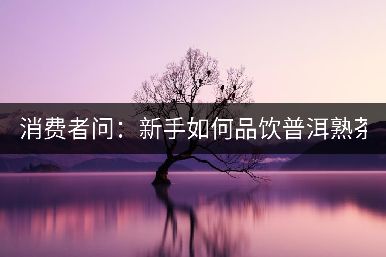 消費(fèi)者問(wèn)：新手如何品飲普洱熟茶？