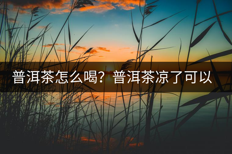 普洱茶怎么喝？普洱茶涼了可以喝嗎？