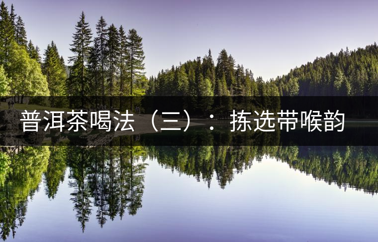 普洱茶喝法(三):揀選帶喉韻的茶品 普洱茶喝法(三):揀選帶喉韻的茶品