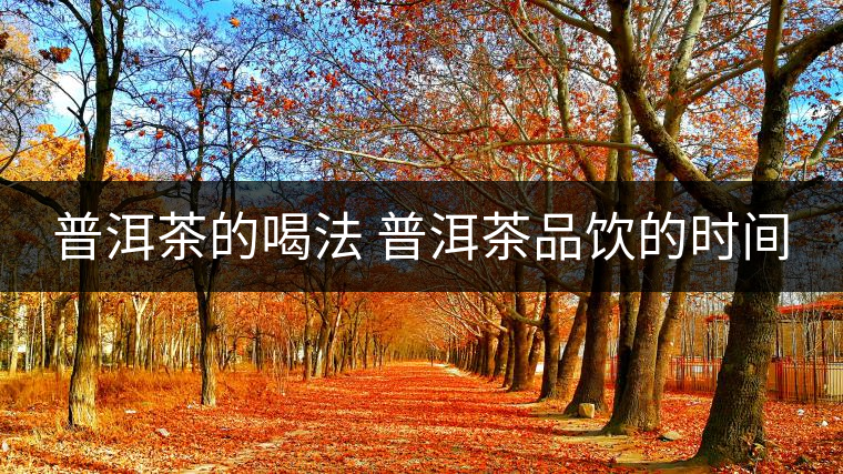 普洱茶的喝法 普洱茶品飲的時(shí)間