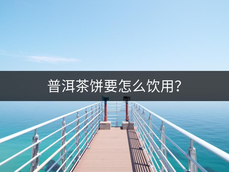 普洱茶餅要怎么飲用？