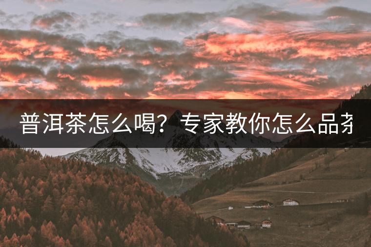 普洱茶怎么喝？專家教你怎么品茶？