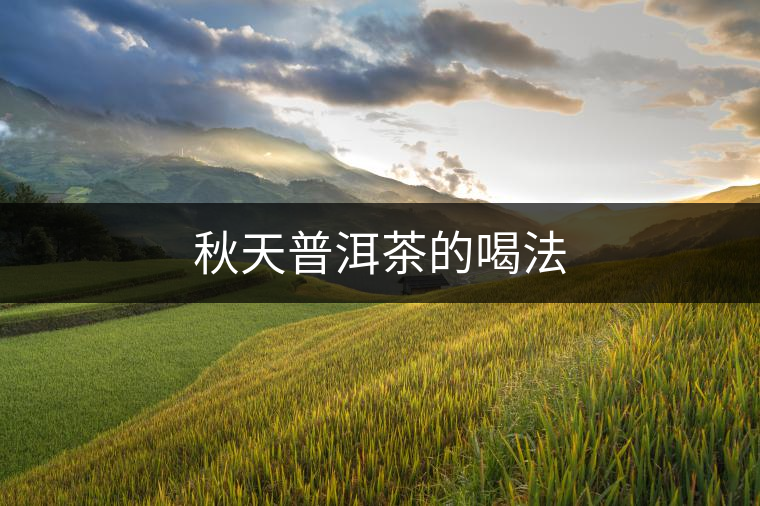 秋天普洱茶的喝法 秋天普洱茶的喝法