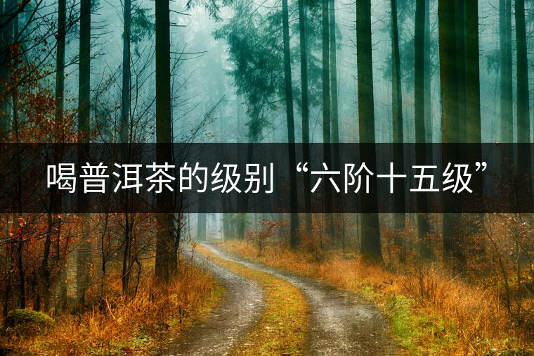 喝普洱茶的級(jí)別“六階十五級(jí)” 喝普洱茶的級(jí)別“六階十五級(jí)”