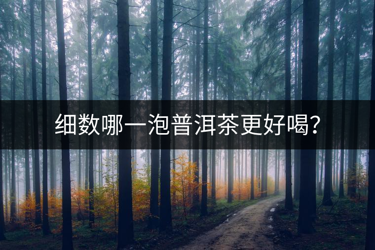 細數(shù)哪一泡普洱茶更好喝？