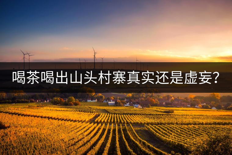 喝茶喝出山頭村寨真實還是虛妄？