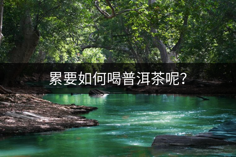 累要如何喝普洱茶呢？