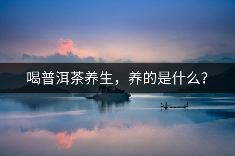 喝普洱茶養(yǎng)生，養(yǎng)的是什么？