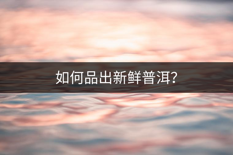 如何品出新鮮普洱？